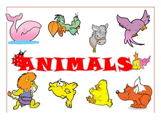 ANIMALS

 