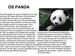  
           ÓS PANDA
 El panda gegant ha sigut un objectiu de la caça 
 urtiva per als locals des de fa molt de temps i 
per estrangers des que es va presentar a 
Occident. A partir dels anys 30, els estrangers 
no van poder caçar pandes a la Xina per culpa 
de la Segona guerra xino-japonesa i de la 
Guerra Civil xinesa, però els pandes van 
continuar sent una a font de pell fina per als 
xinesos. El boom de població a la Xina després 
de 1949 va afectar molt l'hàbitat dels pandes, i  Encara que el Parc Nacional Wolong fou 
es subseqüents fams van fer que augmentes  establert pel govern de la Xina el 1958 per 
molt la caça d'animals salvatges, inclosos els  salvar la població en declivi de pandes, es 
pandes. Durant la Revolució cultural, tots els  van fer pocs avenços en la conservació dels 
estudis i activitats de conservació als pandes es pandes, degut a la inexperiència i el 
van aturar. Després de la reforma econòmica  coneixement insuficient de l'ecologia. 
xinesa, la demanda de pells de pandes de Hong     Moltes persones creien que la millor 
Konk i Japó van provocar la caça il·legal per la  manera de salvar els pandes era engabiar-
venda al mercat negre, que les autoritats locals  los. Per tant, al mínim símptoma de declivi, 
del moment generalment toleraven.                 engabiaven els pandes, i patien condicions 
                                                  de vida terribles. 
 