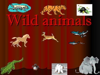 Wild animalsWild animals
 