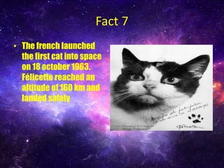Animals who went into space