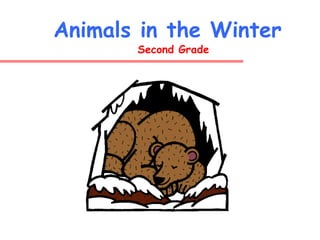 Animals in the Winter   Second Grade 