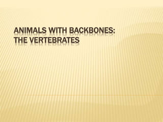 ANIMALS WITH BACKBONES:
THE VERTEBRATES
 