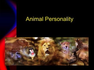 Animal Personality 
 
