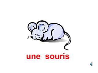 une souris
 
