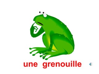 une grenouille
 