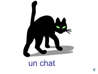 un chat
 