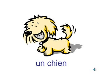 un chien
 