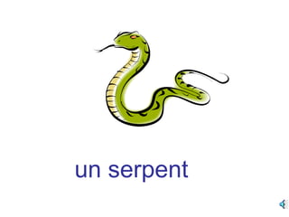 un serpent
 