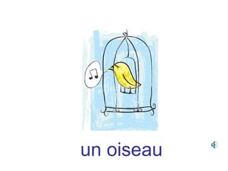 un oiseau
 