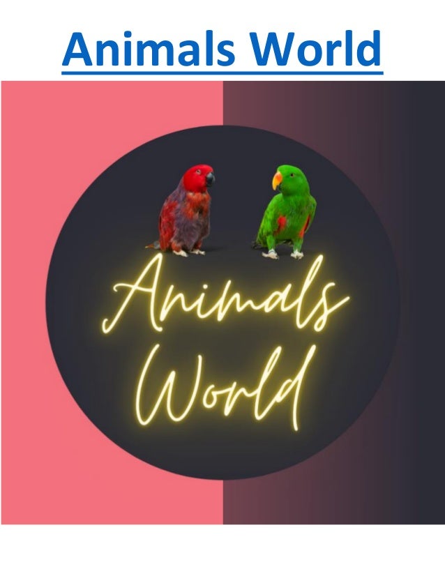 Animals World
 