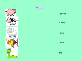 Match:
         Sheep



         Snake




         Cow



         Fish




         Pig
 