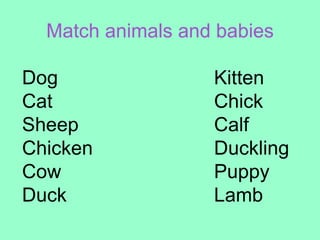 Match animals and babies

Dog                Kitten
Cat                Chick
Sheep              Calf
Chicken            Duckling
Cow                Puppy
Duck               Lamb
 