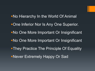 No Hierarchy In the World Of Animal
One Inferior Nor Is Any One Superior.
No One More Important Or Insignificant
No One More Important Or Insignificant
They Practice The Principle Of Equality
Never Extremely Happy Or Sad
 
