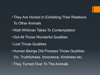 They Are Honest In Exhibiting Their Relations
To Other Animals
Walt Whitman Takes To Contemplation
Got All Those Wonderful Qualities
Lost Those Qualities
Human Beings Did Possess Those Qualities
Viz. Truthfulness, Innocence, Kindness etc.
They Turned Over To The Animals
 