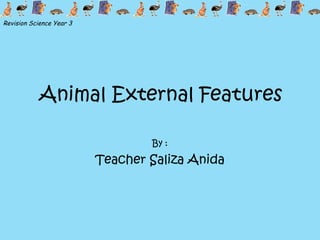 Animal External Features 
By : 
Teacher Saliza Anida 
Revision Science Year 3 
 