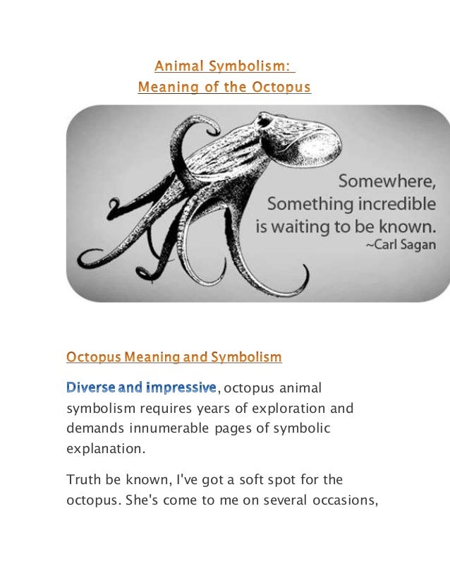 Animal symbolism meaning of the octopus