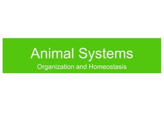 Animal Systems
Organization and Homeostasis
 