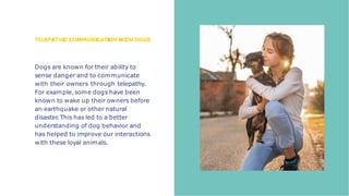 Telepathy Dogs Animal Telepathy to Communicate with Animals.pptx