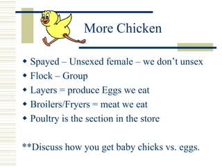 More Chicken
 Spayed – Unsexed female – we don’t unsex
 Flock – Group
 Layers = produce Eggs we eat
 Broilers/Fryers = meat we eat
 Poultry is the section in the store
**Discuss how you get baby chicks vs. eggs.
 