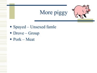 More piggy
 Spayed – Unsexed famle
 Drove – Group
 Pork – Meat
 