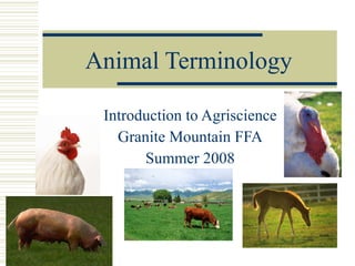 Animal Terminology Introduction to Agriscience Granite Mountain FFA Summer 2008 
