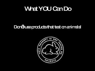 What YOU Can Do Don’t use products that test on animals! 