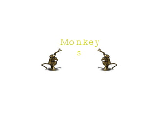 Monkeys 