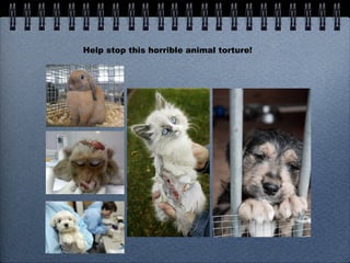 Help stop this horrible animal torture! 