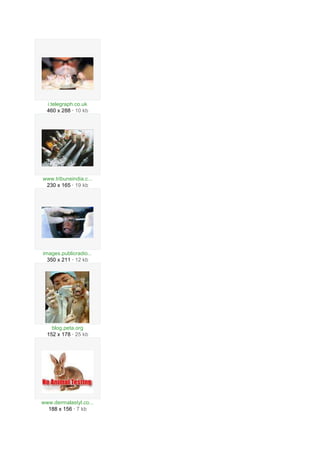 i.telegraph.co.uk
  460 x 288 · 10 kb




www.tribuneindia.c...
 230 x 165 · 19 kb




images.publicradio...
  350 x 211 · 12 kb




    blog.peta.org
  152 x 178 · 25 kb




www.dermalastyl.co...
  188 x 156 · 7 kb
 