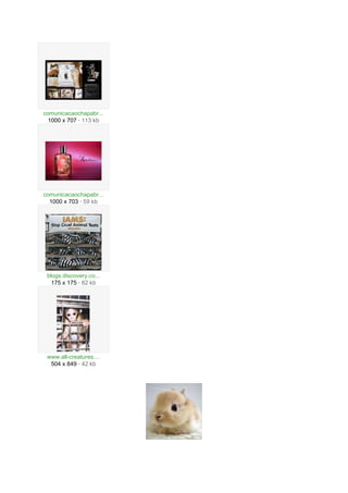 comunicacaochapabr...
  1000 x 707 · 113 kb




comunicacaochapabr...
  1000 x 703 · 59 kb




 blogs.discovery.co...
   175 x 175 · 82 kb




 www.all-creatures....
  504 x 849 · 42 kb
 