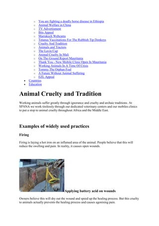 o  You are fighting a deadly horse disease in Ethiopia
           o  Animal Welfare in China
           o  TV Advertisment
           o  Bits Appeal
           o  Marrakech Webcams
           o  Tetanus Vaccinations For The Rubbish Tip Donkeys
           o  Cruelty And Tradition
           o  Animals and Tractors
           o  The Lavin Cup
           o  Animal Cruelty In Mali
           o  On The Ground Report Mauritania
           o  Thank You - New Mobile Clinic Open In Mauritania
           o  Working Animals In A Time Of Crisis
           o  Tommy The Orphan Foal
           o  A Future Without Animal Suffering
           o  EZL Appeal
       Countries
       Education


Animal Cruelty and Tradition
Working animals suffer greatly through ignorance and cruelty and archaic traditions. At
SPANA we work tirelessly through our dedicated veterinary centers and our mobiles clinics
to put a stop to animal cruelty throughout Africa and the Middle East.




Examples of widely used practices
Firing

Firing is laying a hot iron on an inflamed area of the animal. People believe that this will
reduce the swelling and pain. In reality, it causes open wounds.




                                    Applying battery acid on wounds

Owners believe this will dry out the wound and speed up the healing process. But this cruelty
to animals actually prevents the healing process and causes agonising pain.
 