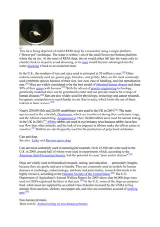 This rat is being deprived of restful REM sleep by a researcher using a single platform
("flower pot") technique. The water is within 1 cm of the small flower pot bottom platform
where the rat sits. At the onset of REM sleep, the rat would either fall into the water only to
clamber back to its pot to avoid drowning, or its nose would become submerged into the
water shocking it back to an awakened state.

In the U.S., the numbers of rats and mice used is estimated at 20 million a year.[50] Other
rodents commonly used are guinea pigs, hamsters, and gerbils. Mice are the most commonly
used vertebrate species because of their size, low cost, ease of handling, and fast reproduction
rate.[59] Mice are widely considered to be the best model of inherited human disease and share
99% of their genes with humans.[59] With the advent of genetic engineering technology,
genetically modified mice can be generated to order and can provide models for a range of
human diseases.[59] Rats are also widely used for physiology, toxicology and cancer research,
but genetic manipulation is much harder in rats than in mice, which limits the use of these
rodents in basic science.[60]

Nearly 200,000 fish and 20,000 amphibians were used in the UK in 2004.[61] The main
species used is the zebrafish, Daniorerio, which are translucent during their embryonic stage,
and the African clawed frog, Xenopuslaevis. Over 20,000 rabbits were used for animal testing
in the UK in 2004.[61]Albino rabbits are used in eye irritancy tests because rabbits have less
tear flow than other animals, and the lack of eye pigment in albinos make the effects easier to
visualize.[61] Rabbits are also frequently used for the production of polyclonal antibodies.

Cats and dogs
See also: Laika and Russian space dogs

Cats are most commonly used in neurological research. Over 25,500 cats were used in the
U.S. in 2000, around half of whom were used in experiments which, according to the
American Anti-Vivisection Society, had the potential to cause "pain and/or distress".[62]

Dogs are widely used in biomedical research, testing, and education — particularly beagles,
because they are gentle and easy to handle. They are commonly used as models for human
diseases in cardiology, endocrinology, and bone and joint studies, research that tends to be
highly invasive, according to the Humane Society of the United States.[63] The U.S.
Department of Agriculture's Animal Welfare Report for 2005 shows that 66,000 dogs were
used in USDA-registered facilities in that year.[48] In the U.S., some of the dogs are purpose-
bred, while most are supplied by so-called Class B dealers licensed by the USDA to buy
animals from auctions, shelters, newspaper ads, and who are sometimes accused of stealing
pets.[64]

Non-human primates
Main article: Animal testing on non-human primates
 