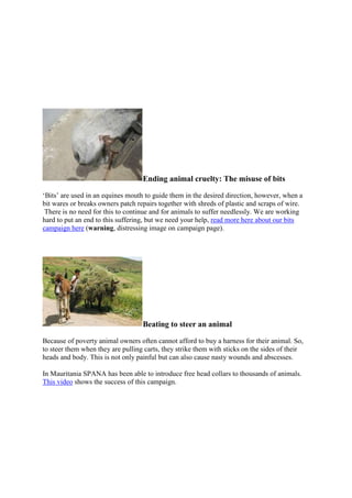 Ending animal cruelty: The misuse of bits

‗Bits‘ are used in an equines mouth to guide them in the desired direction, however, when a
bit wares or breaks owners patch repairs together with shreds of plastic and scraps of wire.
 There is no need for this to continue and for animals to suffer needlessly. We are working
hard to put an end to this suffering, but we need your help, read more here about our bits
campaign here (warning, distressing image on campaign page).




                                   Beating to steer an animal

Because of poverty animal owners often cannot afford to buy a harness for their animal. So,
to steer them when they are pulling carts, they strike them with sticks on the sides of their
heads and body. This is not only painful but can also cause nasty wounds and abscesses.

In Mauritania SPANA has been able to introduce free head collars to thousands of animals.
This video shows the success of this campaign.
 