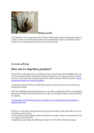 Slitting nostrils

This tradition is most commonly used in Tunisia. People believe that by slitting the nostril of
a donkey, horse or mule the animal will be able to breath better and so work harder. This is
not the case. It causes great pain and in some cases infections.




Everyday suffering

How can we stop these practices?
We provide a wide range of free veterinary services across Africa and the Middle East so we
can treat working animals with injuries inflicted from curelty. We need your help, to spread
the news of the issues that working animals face, and the solutions SPANA provides. Ask us
any questions about our work on Facebook.

To stamp out animal cruelty and suffering for good, we need to get to the core of the issue
and provoke change.

With our established education programmes we are able to change the beliefs and attitudes of
thousands of children and animal owners every day. For example in Mali we provide a MOT
for animals.

You can help us with a kind donation and together we can treat hundreds of thousands of
animals every year.



SPANA is a UK charity saving animals in the poorest countries in the world. But we are not
an ordinary animal charity.
We know that working animals ensure that families can make a living. If an animal falls sick
or is injured, then the family
it supports may go hungry and fall deeper into poverty. We believe that by ensuring a
 