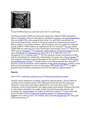 Around 65,000 primates are used each year in the U.S. and Europe.

Non-human primates (NHPs) are used in toxicology tests, studies of AIDS and hepatitis,
studies of neurology, behavior and cognition, reproduction, genetics, and xenotransplantation.
They are caught in the wild or purpose-bred. In the U.S. and China, most primates are
domestically purpose-bred, whereas in Europe the majority are imported purpose-bred.[65]
Rhesus monkeys, cynomolgus monkeys, squirrel monkeys, and owl monkeys are imported;
around 12,000 to 15,000 monkeys are imported into the U.S. annually.[66] In total, around
70,000 NHPs are used each year in the United States and European Union.[44][48] Most of the
NHPs used are macaques;[67] but marmosets, spider monkeys, and squirrel monkeys are also
used, and baboons and chimpanzees are used in the U.S; in 2006 there were 1133
chimpanzees in U.S. primate centers.[68] The first transgenic primate was produced in 2001,
with the development of a method that could introduce new genes into a rhesus macaque.[69]
This transgenic technology is now being applied in the search for a treatment for the genetic
disorderHuntington's disease.[70] Notable studies on non-human primates have been part of
the polio vaccine development, and development of Deep Brain Stimulation, and their current
heaviest non-toxicological use occurs in the monkey AIDS model, SIV.[6][67][71] In 2008 a
proposal to ban all primates experiments in the EU has sparked a vigorous debate.[72]

Sources

Main articles: Laboratory animal sources and International trade in primates

Animals used by laboratories are largely supplied by specialist dealers. Sources differ for
vertebrate and invertebrate animals. Most laboratories breed and raise flies and worms
themselves, using strains and mutants supplied from a few main stock centers.[73] For
vertebrates, sources include breeders who supply purpose-bred animals; businesses that trade
in wild animals; and dealers who supply animals sourced from pounds, auctions, and
newspaper ads. Animal shelters also supply the laboratories directly.[74] Large centers also
exist to distribute strains of genetically-modified animals; the National Institutes of
HealthKnockout Mouse Project, for example, aims to provide knockout mice for every gene
in the mouse genome.[75]
 