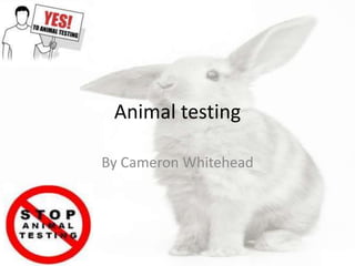 Animal testing

By Cameron Whitehead
 