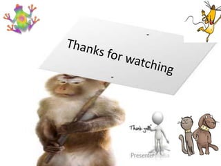 Animal testing 11cwhitehead