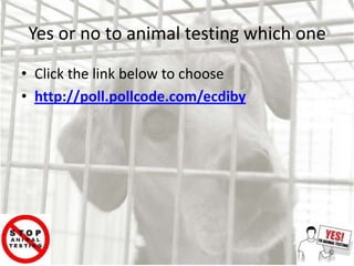 Yes or no to animal testing which one
• Click the link below to choose
• http://poll.pollcode.com/ecdiby
 