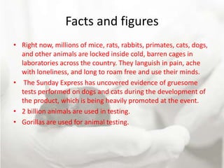 Facts and figures
• Right now, millions of mice, rats, rabbits, primates, cats, dogs,
  and other animals are locked inside cold, barren cages in
  laboratories across the country. They languish in pain, ache
  with loneliness, and long to roam free and use their minds.
• The Sunday Express has uncovered evidence of gruesome
  tests performed on dogs and cats during the development of
  the product, which is being heavily promoted at the event.
• 2 billion animals are used in testing.
• Gorillas are used for animal testing.
 