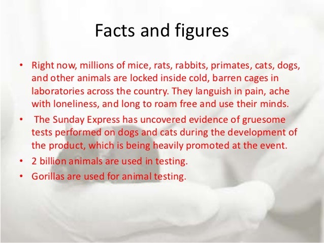 Animal testing 11cwhitehead