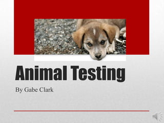 Animal Testing
By Gabe Clark
 