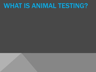 WHAT IS ANIMAL TESTING?
 