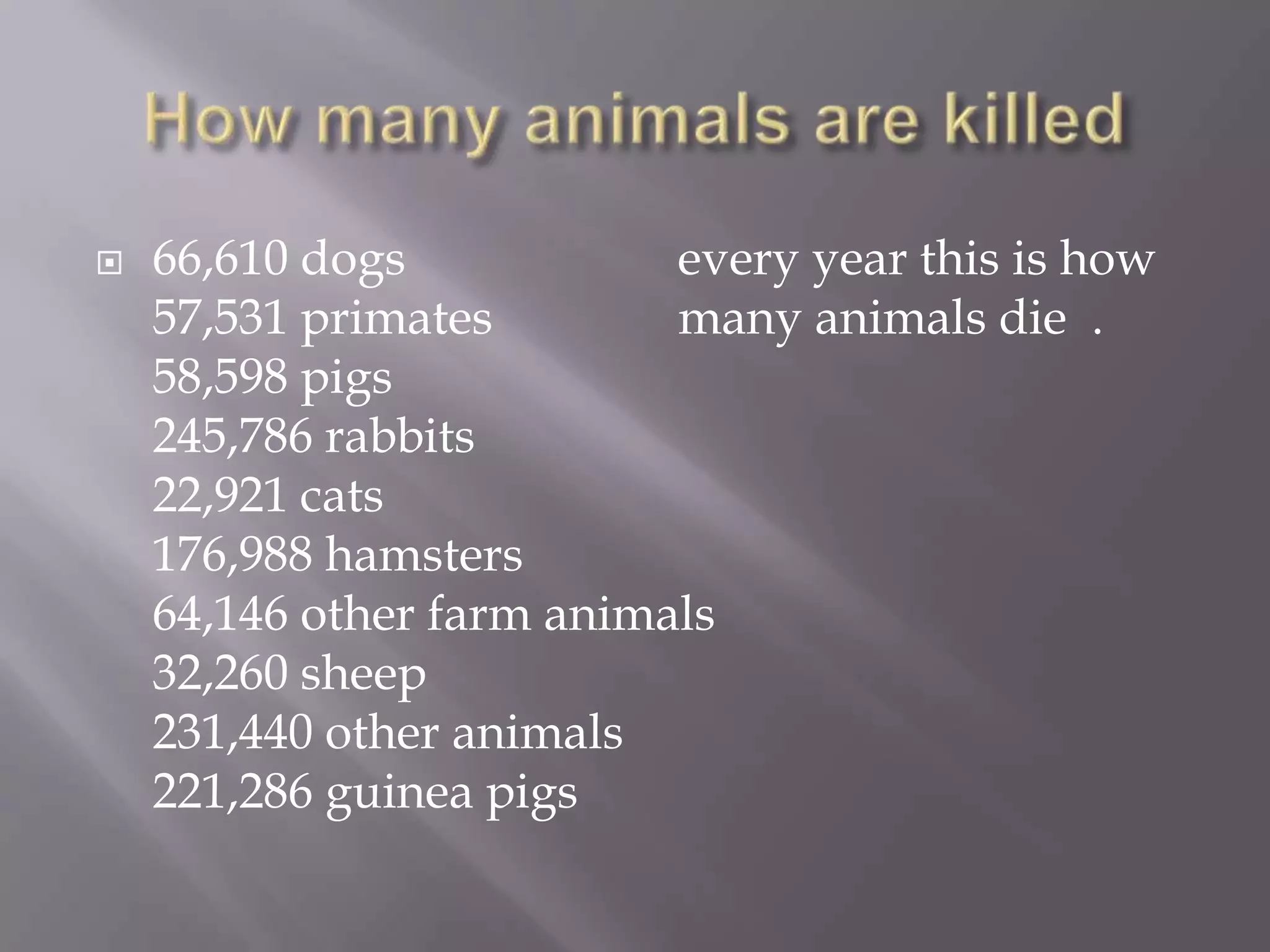    66,610 dogs            every year this is how
    57,531 primates        many animals die .
    58,598 pigs
    245,786 rabbits
    22,921 cats
    176,988 hamsters
    64,146 other farm animals
    32,260 sheep
    231,440 other animals
    221,286 guinea pigs
 