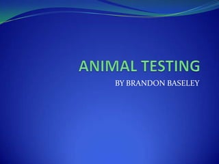 Animal testing | PPTX