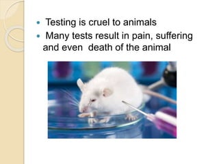Animal testing | PPTX