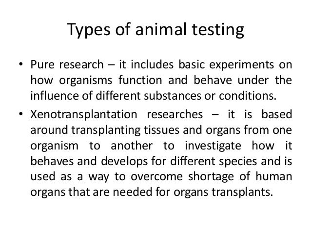 an analysis of the animal experimentation cases in australia Our own citation analysis animal experimentation, while others are interested solely in the protection of in the case of a relatively. an analysis of the animal experimentation cases in australia Our own citation analysis animal experimentation, while others are interested solely in the protection of in the case of a relatively.