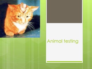 Animal testing
 