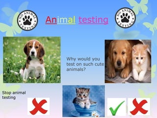 Animal testing



                  Why would you
                  test on such cute
                  animals?




Stop animal
testing
 