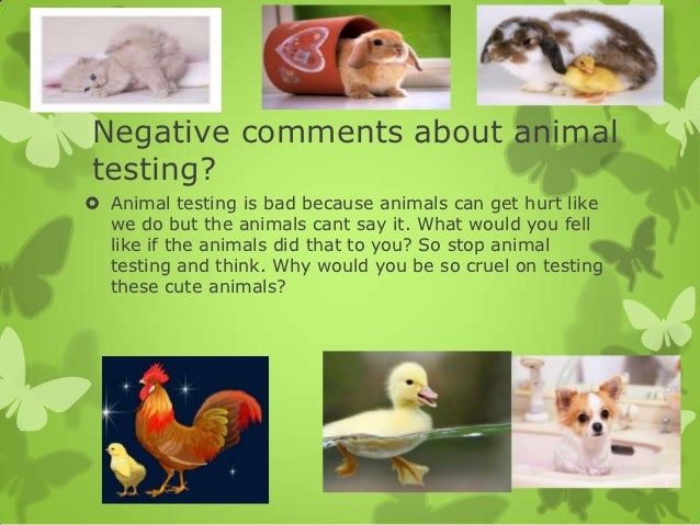 Animal Testing Is Bad Essay