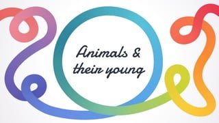 Animals &
their young
 